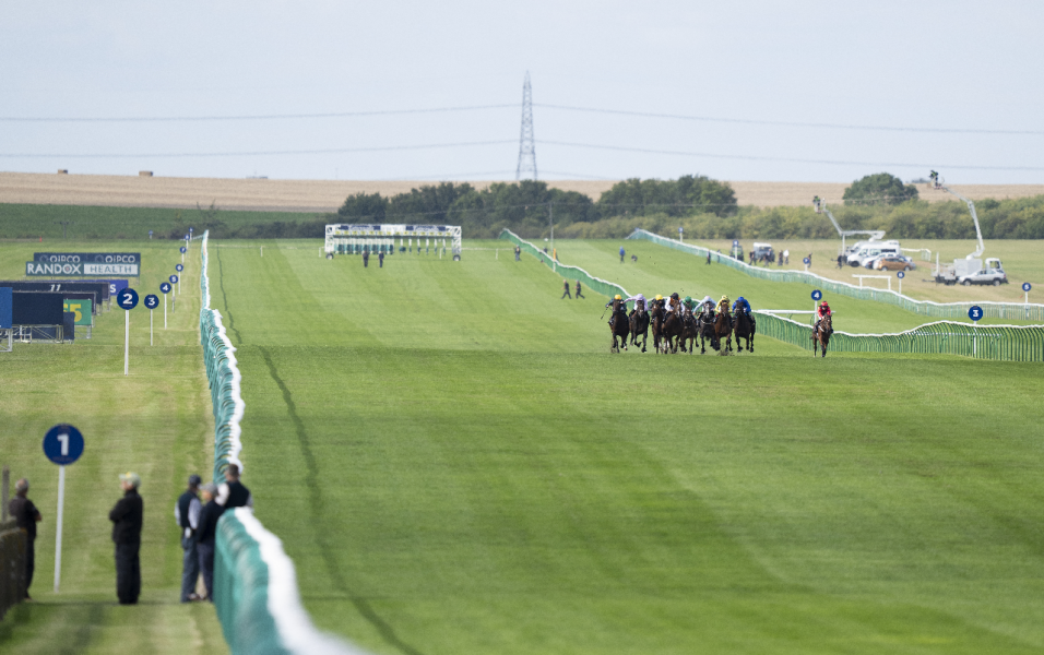 Newmarket